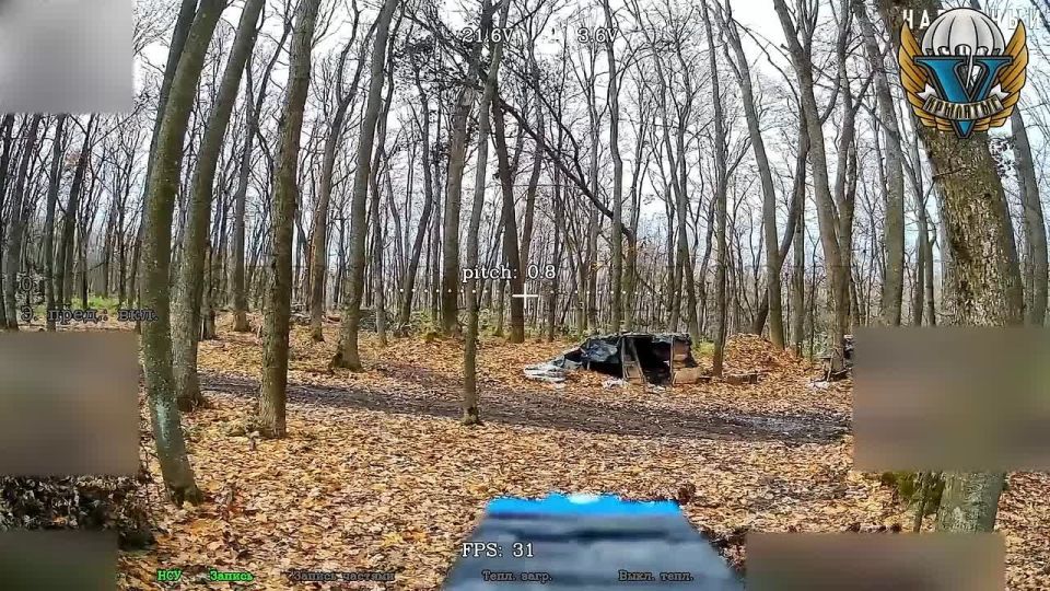 ���������� �����������. �������� ������ ����������-����������� �� ������� � �������� ���������� @russian_airborne