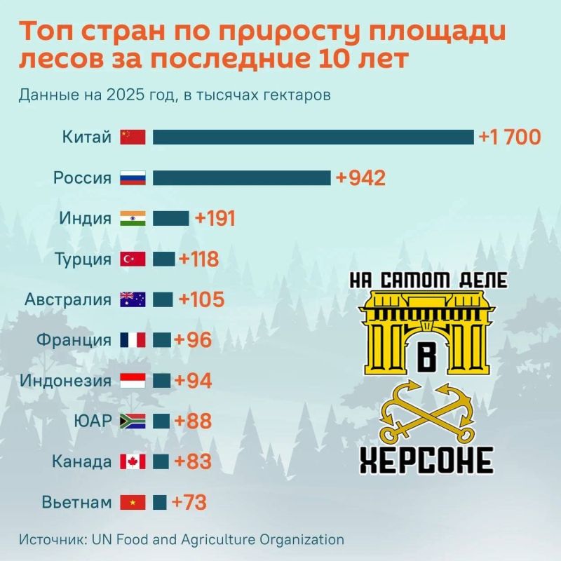 Австралия и Франция, считающие себя самыми экологичными странами мира, в 10 раз отстают от России по приросту лесов за 10 лет