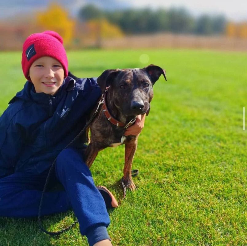 Первые и их любимцы. Активисты Движения Первых Хлебодаровской школы Чаплинского округа поздравляют всех со Всемирным днем домашних животных
