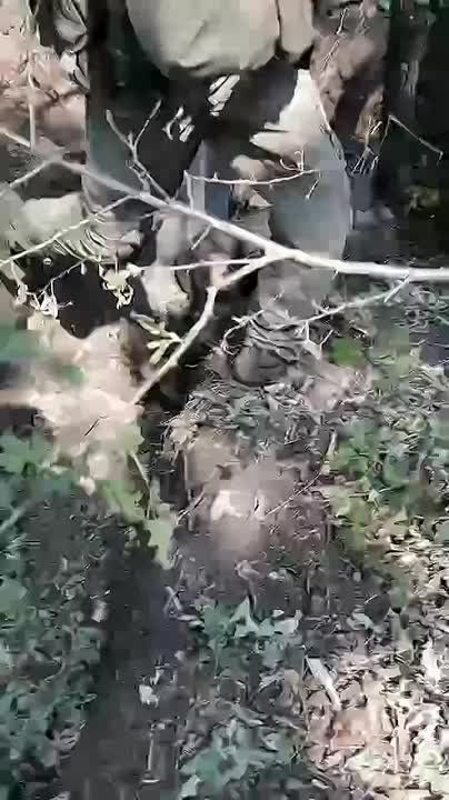 ��� 200. ��������-����� ���������� �������