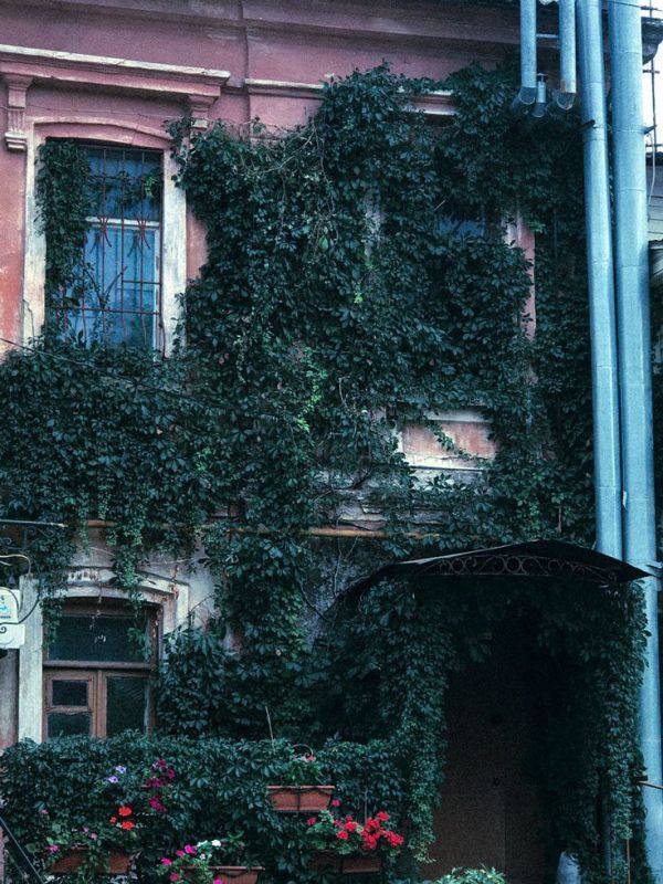 �������� �������.. ������ ����, ����������!