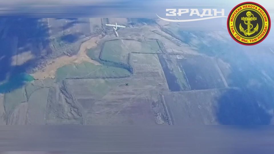 ���������� �����������. ������� 61������ �������-�������� ������������� ��������, �������� ����� � ���� ���� ����� ������ ����� �����������