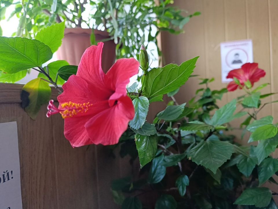 ������ ����, ������ ���������� �������������� ������!