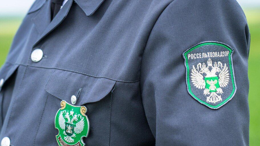 � ���������� ������� ���������� �������� ����� ����� ������������ ���������