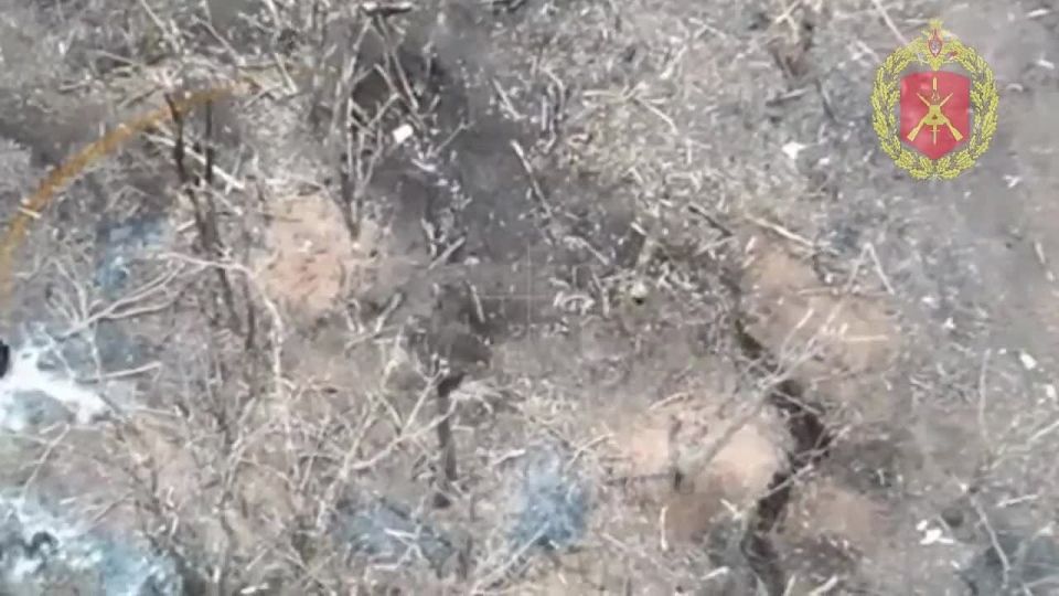 ���� ���������� ������������� 123-� ������� �������� ������� � ����� ����� ���������� ��� ������ ��������������� ����