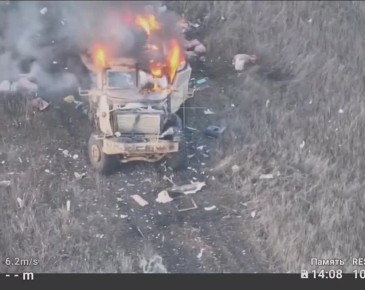 International MAXX PRO     