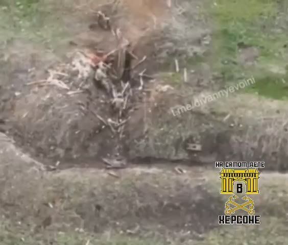 ��������� ��� ���������, � �������� ��� ��� ������ ��������������