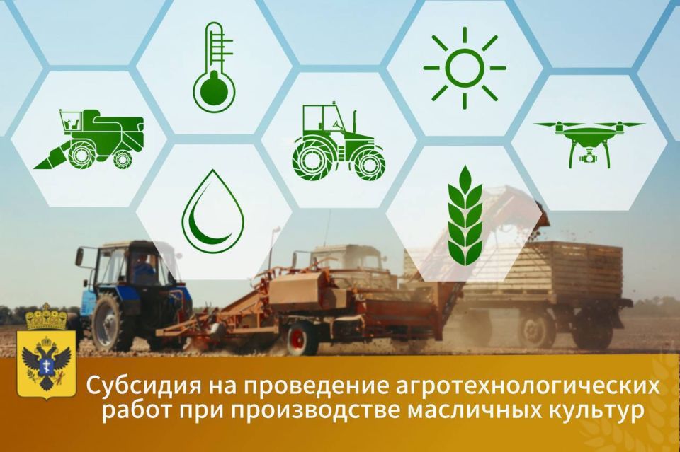 5 декабря заканчивается прием заявок на получение субсидии для проведения агротехнологических работ при производстве масличных культур