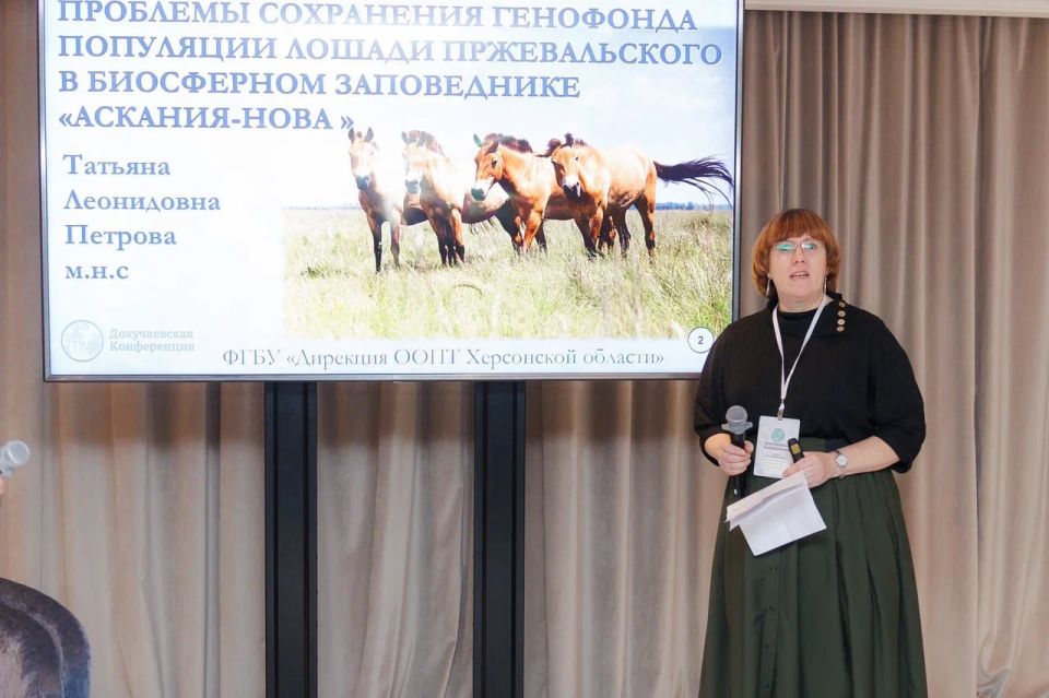 ���������� ������ �������������: ���� ��������-���� ����������� �� ������������� �����������