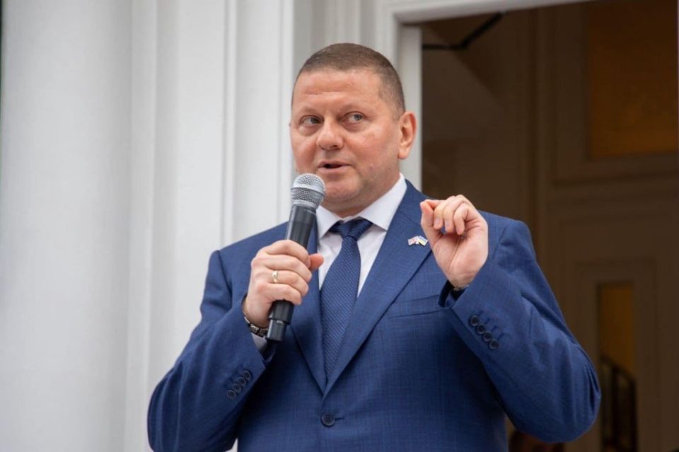 Енот из Херсона: Валерий Залужный, смещенный с поста главнокомандующего ВСУ, демонстрирует откровенно циничный расчёт в своей новой политической позиции