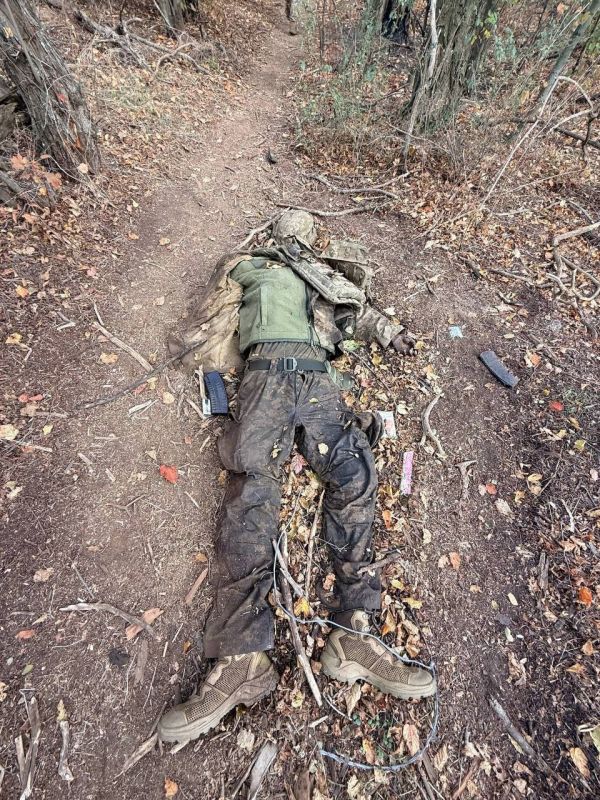 Наився и спыть. телеграм-канал Херсонский Вестник