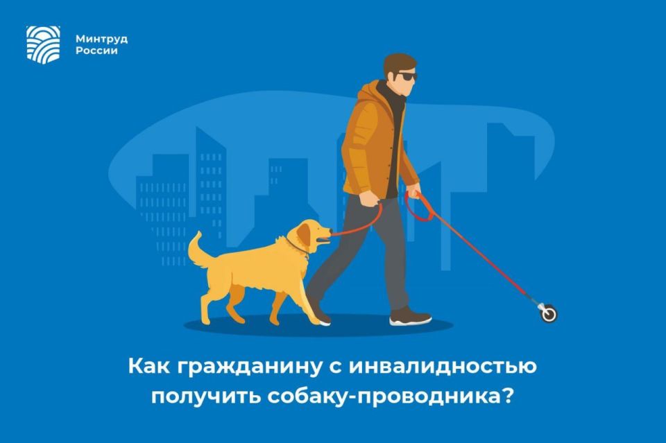 ��� ���������� � ������������� �������� ������-����������