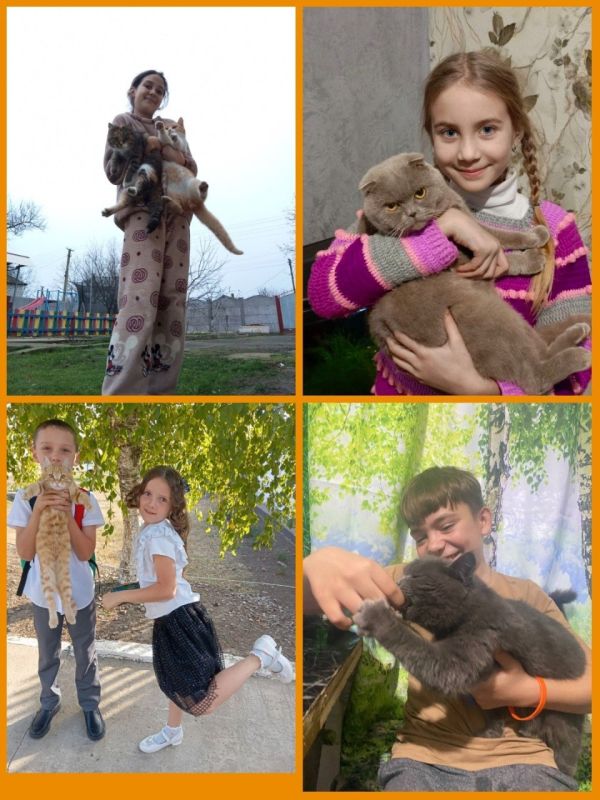    . , ,    ,  ,      ,      !   ,         ...