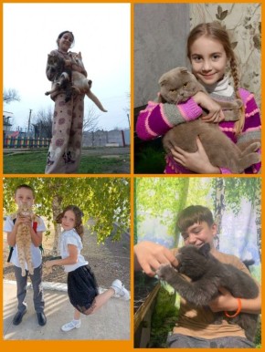    . , ,    ,  ,      ,      !   ,         ...