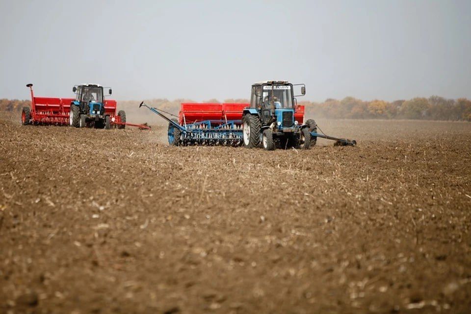 � ���������� ������� ������� 572 ������ �������� ������ �������