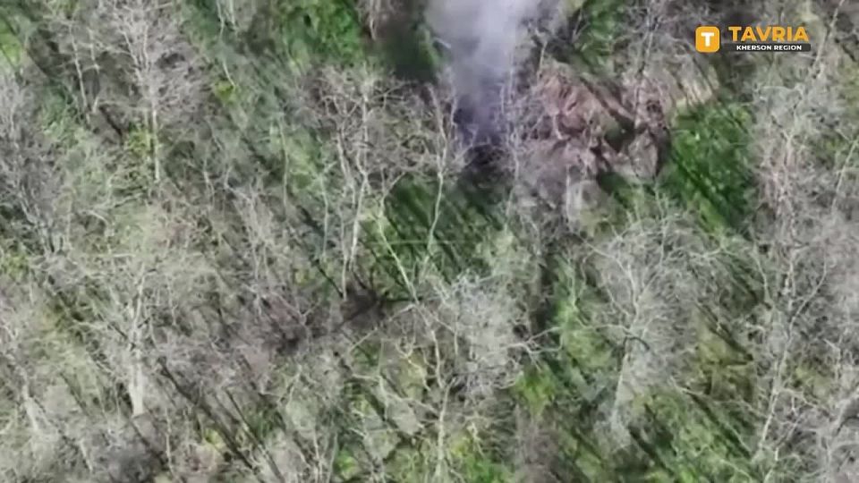 ������ ������� ���� ��������� ����� ��������� ���������� ��� � ���������� �������