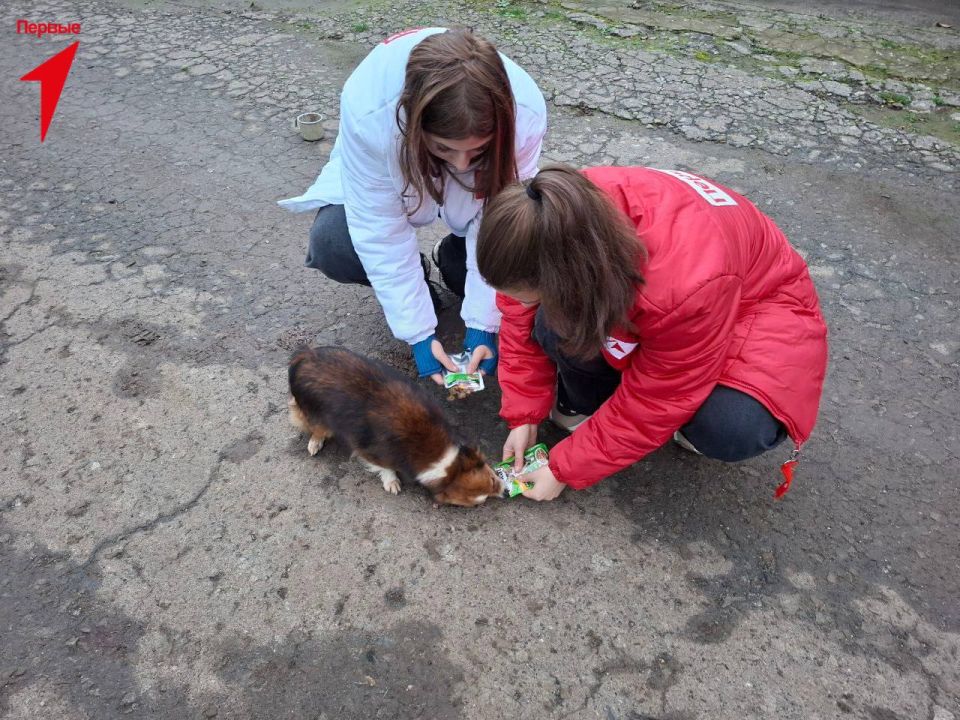 ������ ������ ������ � ������ ���