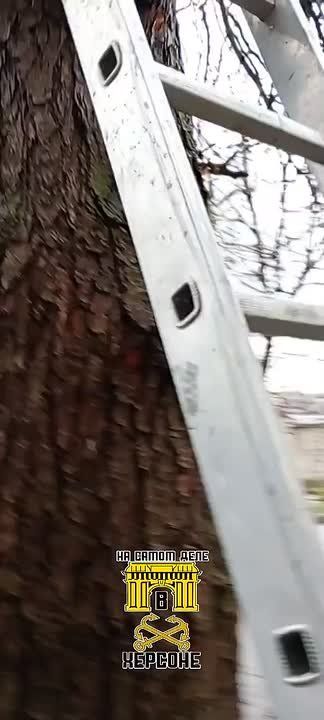 ������. ������ ����� �����. ���-�� ������� � ������ �������