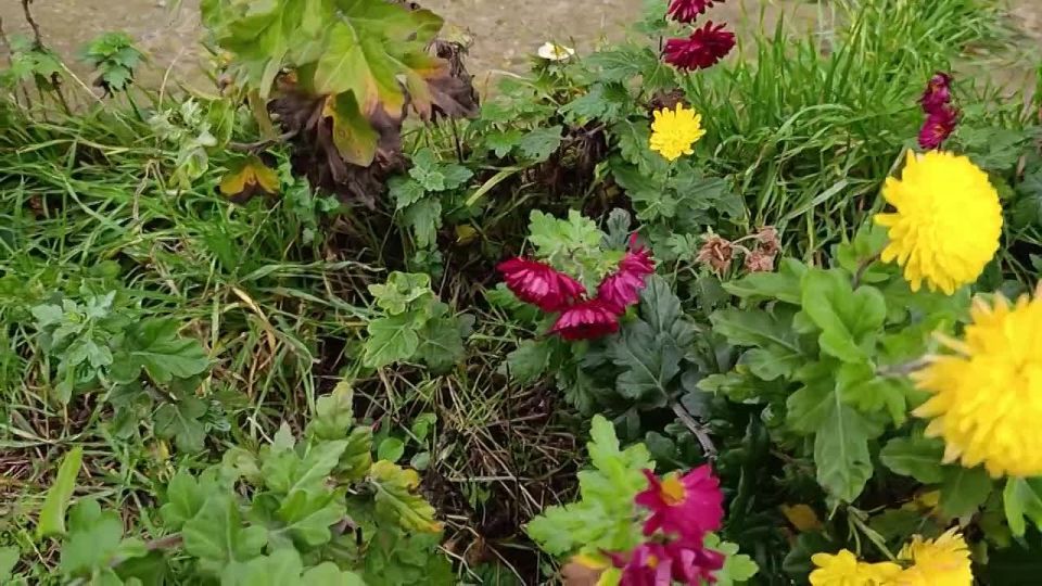 Доброе утро, жители Каховского муниципального округа!