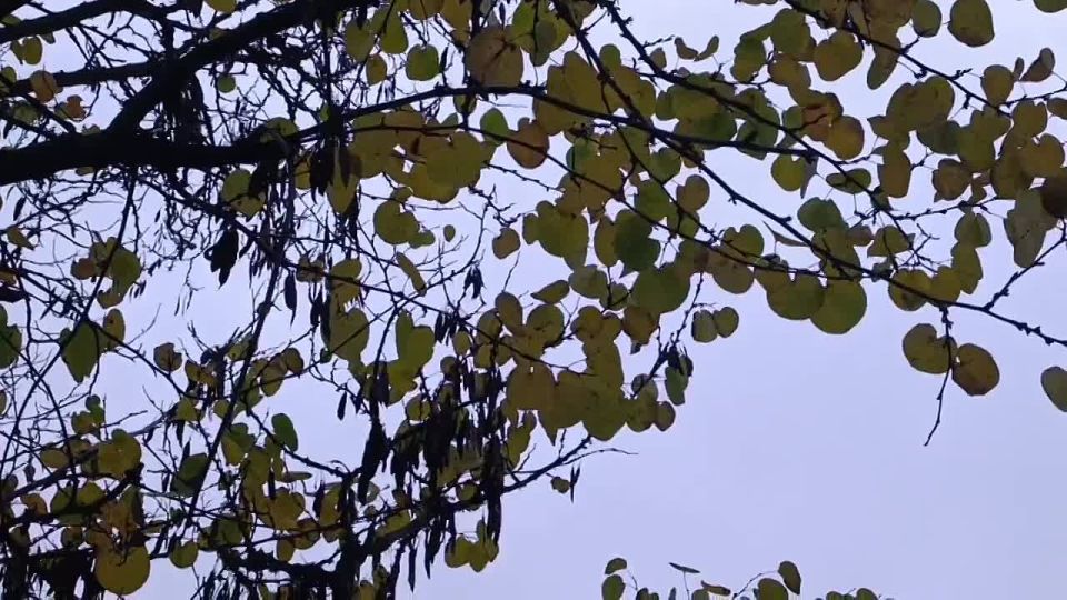 Доброе утро, жители и гости Генического округа!