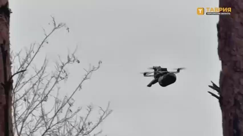 �� ���������� ����������� ���������� �� ����������� ������������� ���������� ��������� ����� � �������� � ����������� ��������� � ������� ����