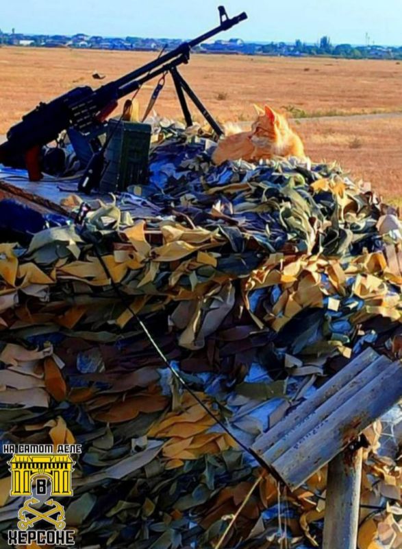 ��������� ����������� ������� ����� ������