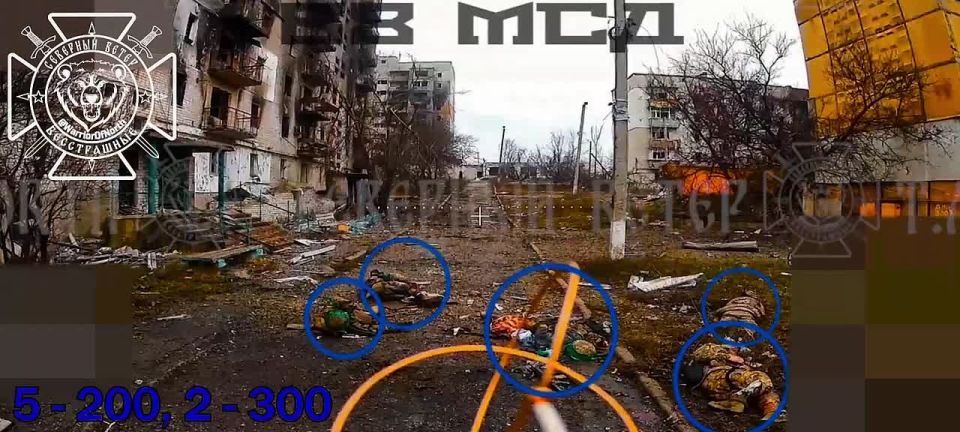 ���� �� �������: ����� ������ �������������� ��� ���������� ����� ������� � ����