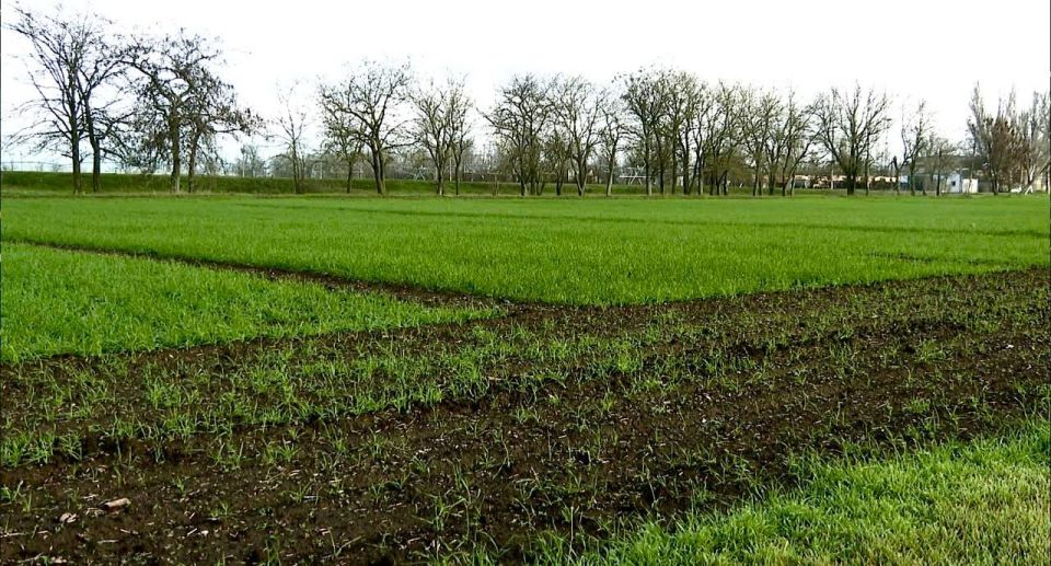 � ���������� ������� ��������� ������� �������� ��������