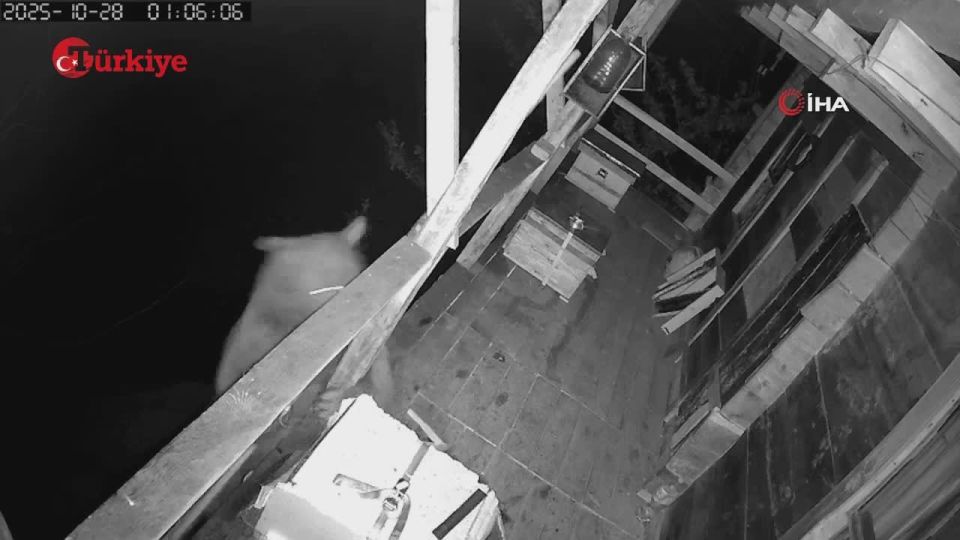 �������� ����� ��� ����� �� �����