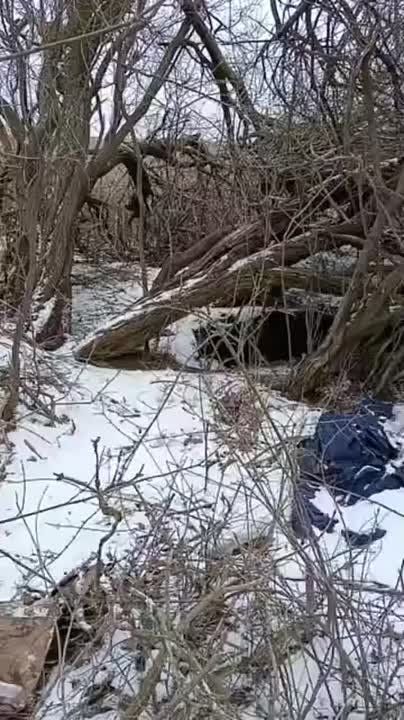 ������ ������� ���...����� ������ ������� �� ��������������?