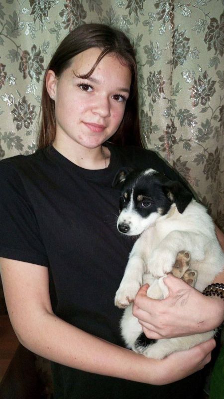 ������ � �� �������. ��������� �������� ������ ���������� ��������� ��� ���������� ����� �������� ������ � ������������ � ���