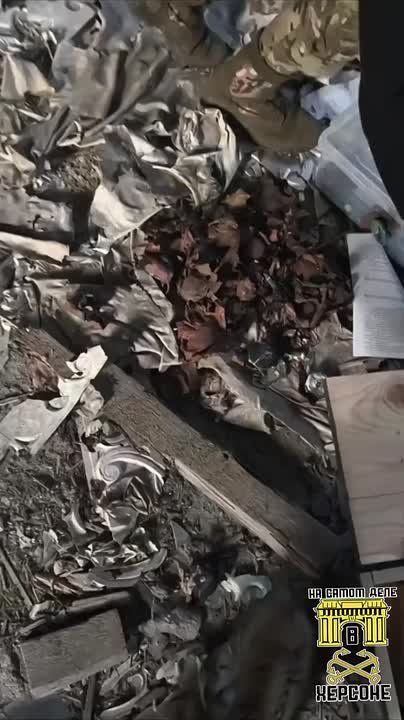 ��� ��������� ����������� ����