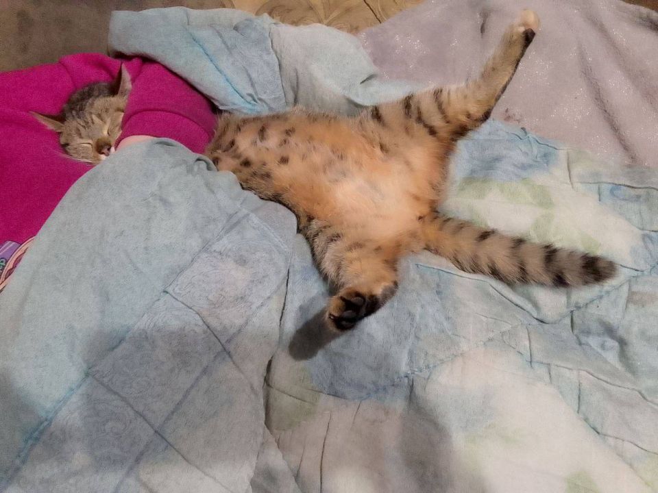 ������ � �� �������. ������, �� �� �������, ��� ���� ������� ������� ����� ������� ������ �� ���