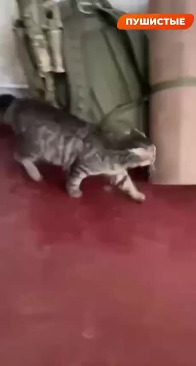 �������� ���� ����� � ������ ��� ���� ��������� ��������� � ������ ��������� ���