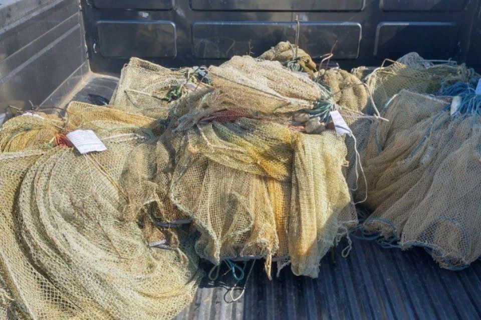 �� ���������� ����� ������ �����������, ���������� �������� �� 1 ��� ������