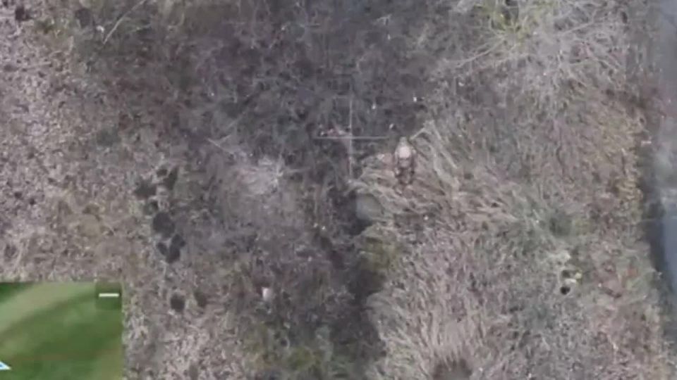 ����������� �����.. ��������� �� ������ ������� ������ �������� ��������� ������ � ������������ ��������