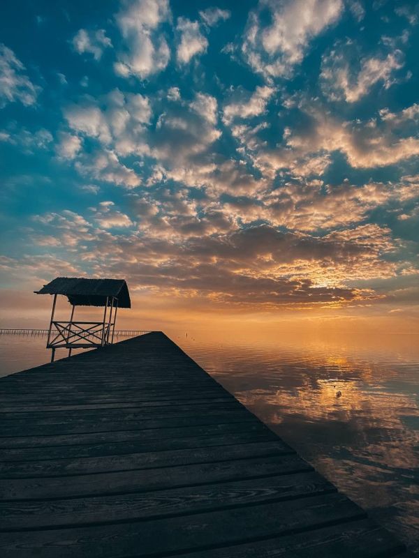 ������ ����� ��������? ����������, ��� ��� ����� �������� �����!