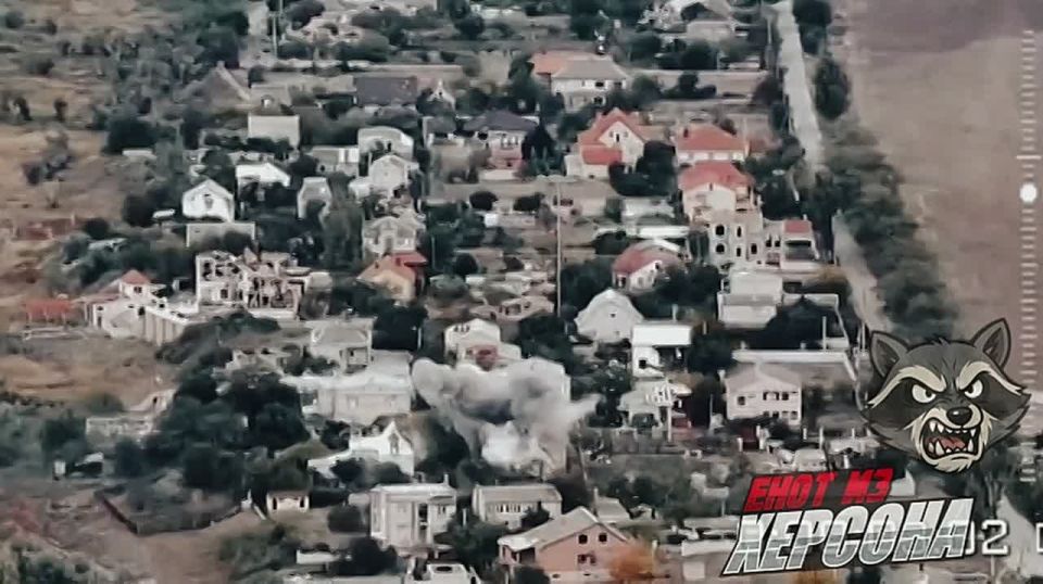 Енот из Херсона: Херсон, н.п. Благовещенское