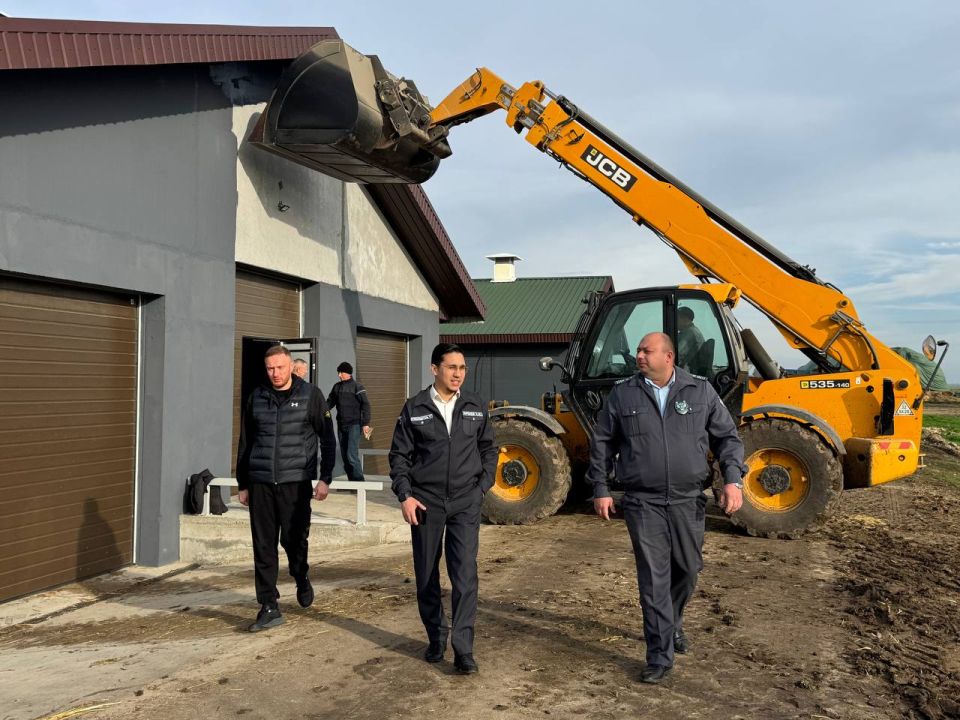 ������������ �����-������������� ���������� ����������������� ������� ���������������� ����������� � ���� ���������� ���������� �������