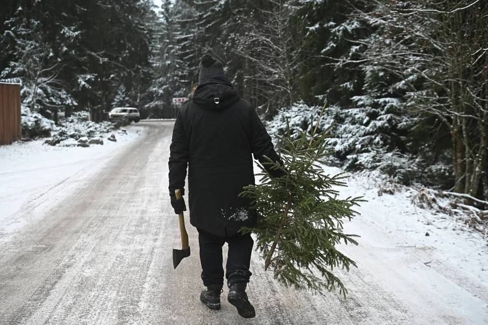 �� ���������� ���� ����� ����������� �� 500 000