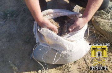 Дорогие морепродукты. Четверо «предпринимателей» из Каланчака решили обогатиться за счет черноморской креветки