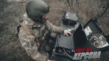 Енот из Херсона: Расчет войск беспилотных систем обнаружил замаскированное орудие ВСУ и скорректировал его поражение «Ланцетом»