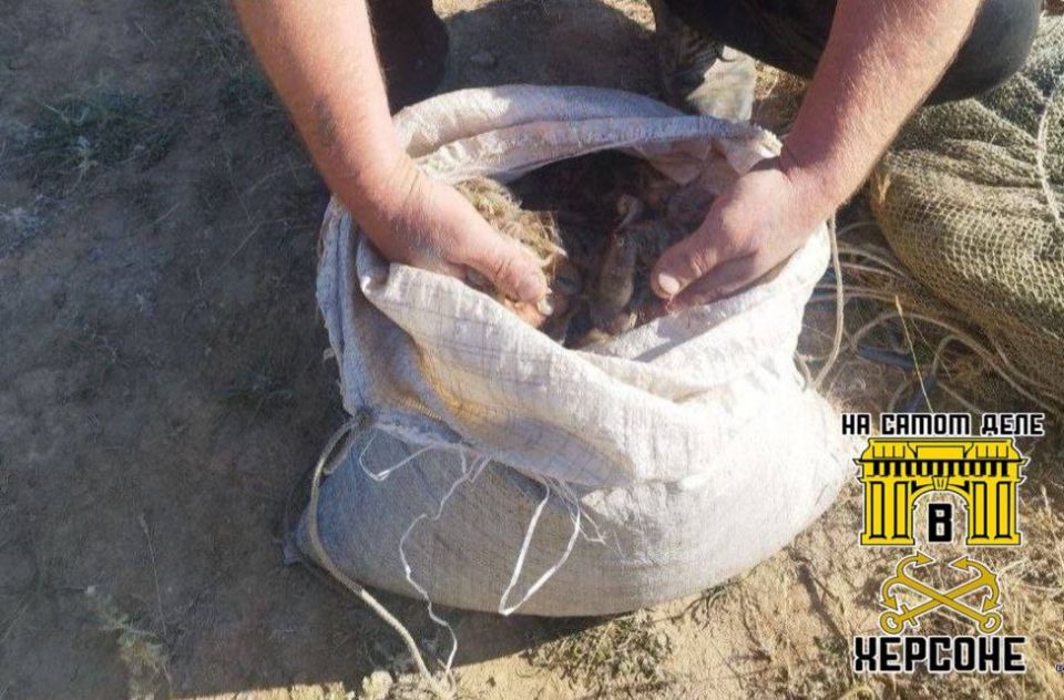 Дорогие морепродукты. Четверо «предпринимателей» из Каланчака решили обогатиться за счет черноморской креветки