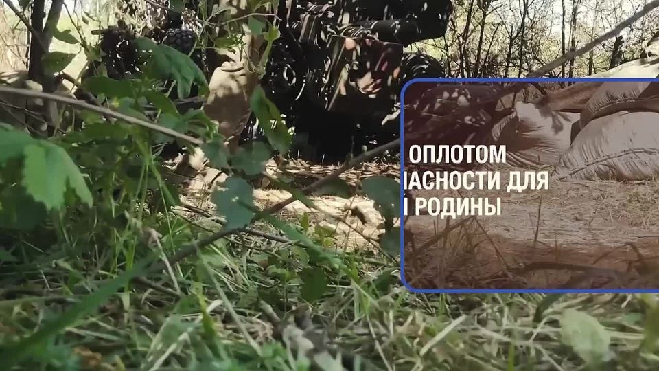 Стань тем, на кого равняется Родина