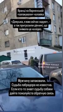 В Одессе упаковали мужика вместе с ЛАБРАДОРЕМ...Судьба собаки не известна до сих пор!!!