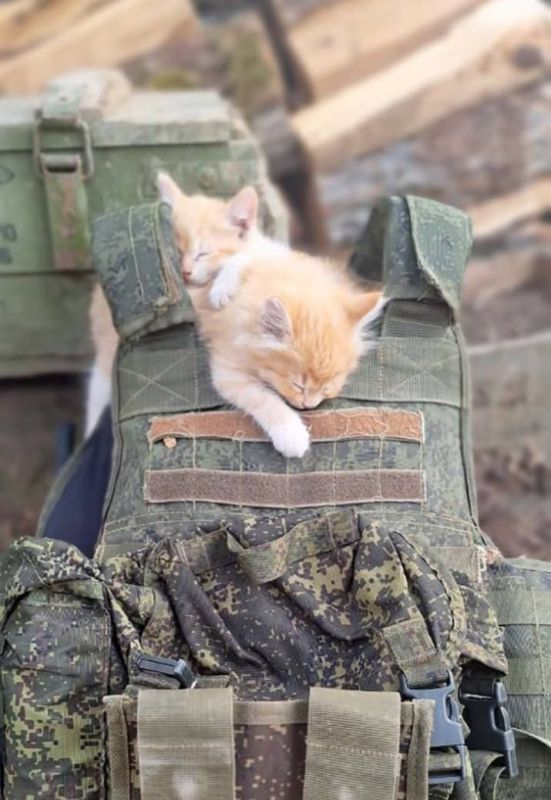 ������ � �������� �������� ������ ��� �������� ���� �������� � � �������!