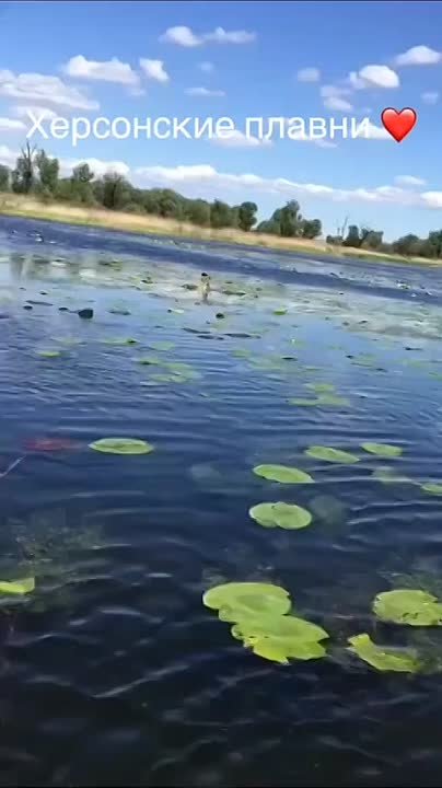 Если у вас за окном ветер и холодно - пусть на душе станет теплее