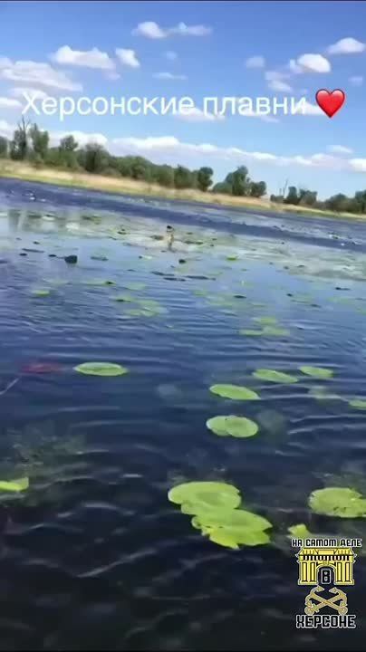 ���� � ��� �� ����� ����� � ������� � ����� �� ���� ������ ������