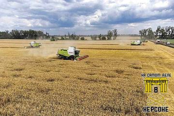 Херсонские аграрии получили больше миллиарда рублей господдержки