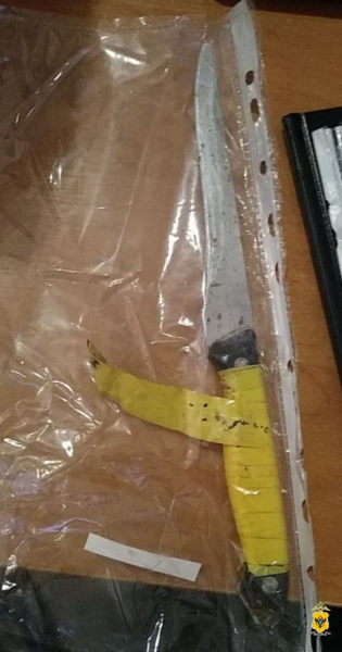 В Чаплынском округе полицейские задержали подозреваемую в нанесении телесных повреждений и угрозе убийством